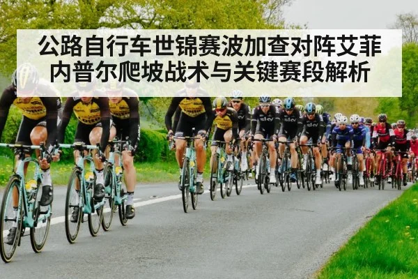 公路自行车世锦赛波加查对阵艾菲内普尔爬坡战术与关键赛段解析