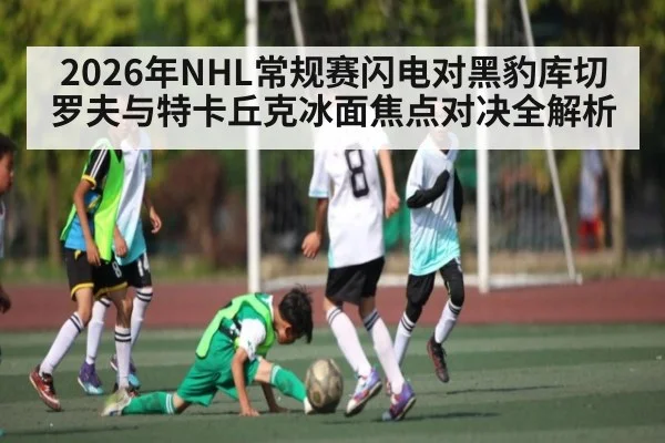 2026年NHL常规赛闪电对黑豹库切罗夫与特卡丘克冰面焦点对决全解析