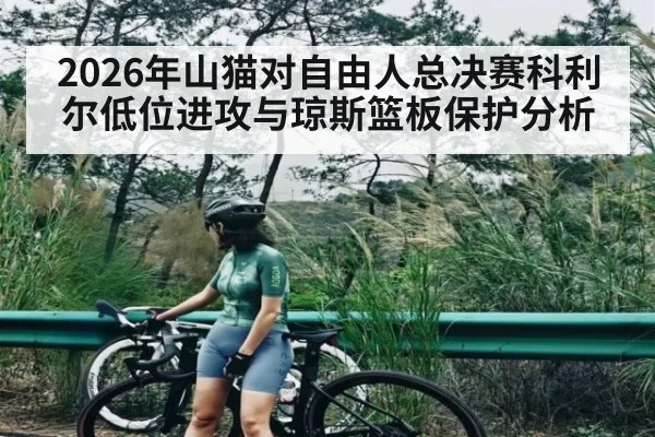 2026年山猫对自由人总决赛科利尔低位进攻与琼斯篮板保护分析